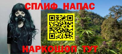 прущие грибы Дубна